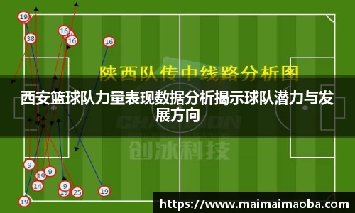 西安篮球队力量表现数据分析揭示球队潜力与发展方向